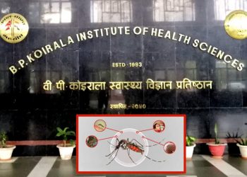 नेपालमा डेङ्गुबाट मृत्यु हुनेको संख्या ५२ पुग्यो, ४३६८५ जना सम्भावित बिरामी