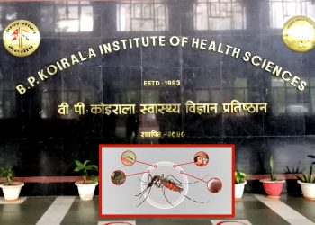वीपी प्रतिष्ठान धरानले पत्ता लगायो डेङ्गीकाे नयाँ सेराेटाइप