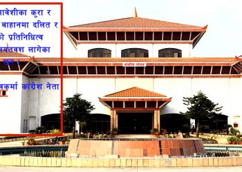 प्रतिनिधि सभामा दलित समुदायको प्रतिनिधित्व निरन्तर घट्दो