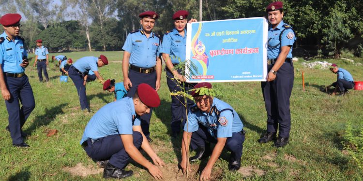 “६७ औ प्रहरी दिवश २०७९ को अवसरमा बृक्षारोपन कार्यक्रम (फोटो फिचर )