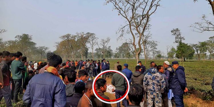 झापाका प्रेमील जोडीले एउटै रुखमा झुण्डिएर आत्महत्या गरे