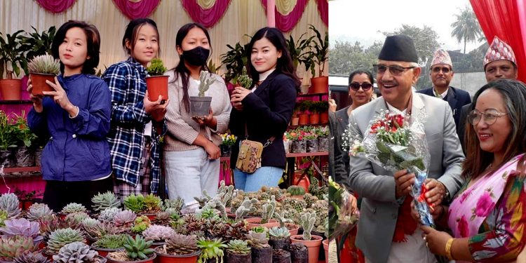 धरानमा सुरु भएको पुष्प मेलामा रमाउदै धराने