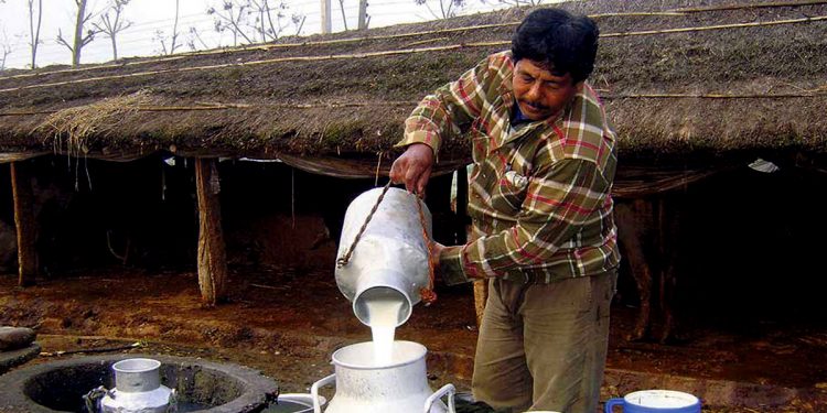 दुधको मूल्य प्रतिलिटर ९ रुपैयाँले बढने