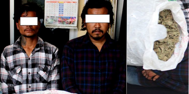 लागू औषध गाँजा सहित इटहरीबाट २ जना पक्राउ