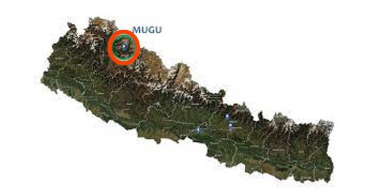 मुगूमा आमा सहित तीन छोराछोरीको हत्या