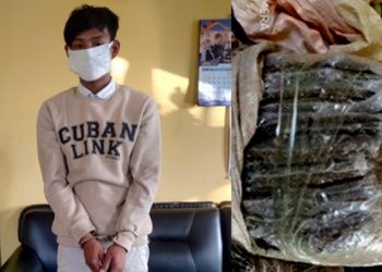 १३ के.जी अवैध गाँजा सहित १ जना पक्राउ